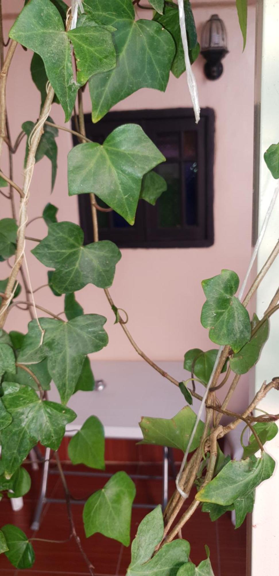 La Casa Espanyola Fez Exterior foto
